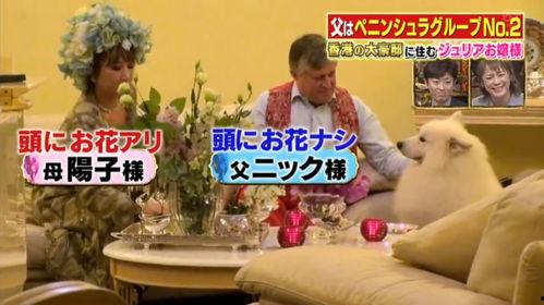 香港生活爆料视频大全最新,最新视频大全精彩瞬间大盘点  第2张